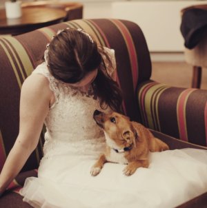 Screenshot_20231126_215951_Gallery.jpg Screenshot_20231126_215951_Gallery.jpg