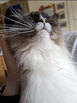 Compress_20231126_221819_9166.jpg Compress_20231126_221819_9166.jpg