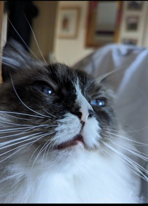 Compress_20231126_221819_9555.jpg Compress_20231126_221819_9555.jpg