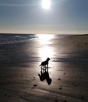 3B1FAD07-2106-4404-AA1E-0F000FB47562.jpeg 3B1FAD07-2106-4404-AA1E-0F000FB47562.jpeg