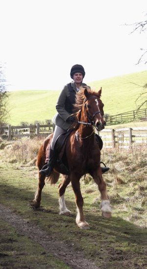 5EA2FF2F-E172-4C08-9F45-86CF1D5F0B1A.jpeg 5EA2FF2F-E172-4C08-9F45-86CF1D5F0B1A.jpeg