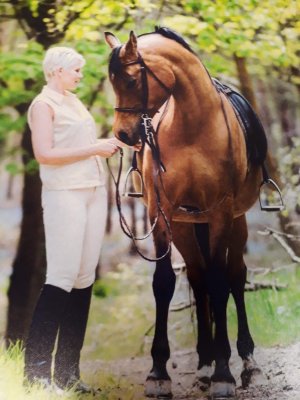 20180312_110740_compress_72.jpg 20180312_110740_compress_72.jpg