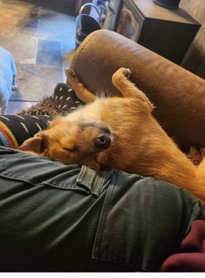 Screenshot_20231127_121946_Gallery.jpg Screenshot_20231127_121946_Gallery.jpg