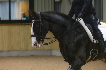 6C03F362-E44D-4D15-A9BD-59BAA880F4E6.jpeg 6C03F362-E44D-4D15-A9BD-59BAA880F4E6.jpeg