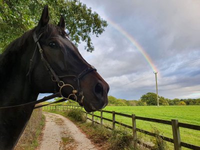 20201010_173120.jpg 20201010_173120.jpg