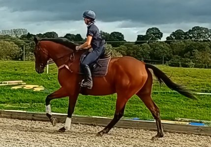 Screenshot_20231008_152712_Video Player.jpg