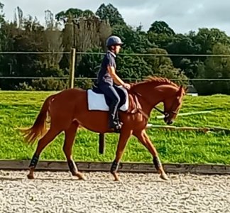 Screenshot_20231008_152542_Video Player.jpg