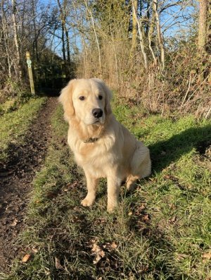 B39315EB-CF13-4CDD-8361-5576AFEDB0BC.jpeg B39315EB-CF13-4CDD-8361-5576AFEDB0BC.jpeg