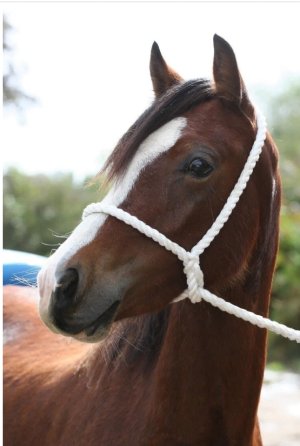 Screenshot_20231203-104135_Chrome.jpg Screenshot_20231203-104135_Chrome.jpg