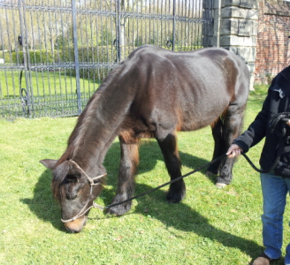 1701602353690.png 1701602353690.png