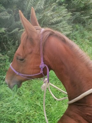 IMG_20230913_130539_copy_600x800.jpg IMG_20230913_130539_copy_600x800.jpg