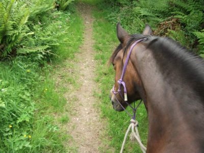 FB_IMG_1541537177571.jpg FB_IMG_1541537177571.jpg