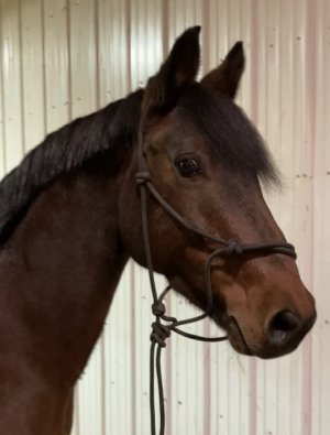 8E78A761-EE04-4BB7-B8E8-D156A78E6099.jpeg 8E78A761-EE04-4BB7-B8E8-D156A78E6099.jpeg