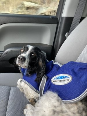 897CBEB2-5112-4FFE-A358-140C1B08F483.jpeg 897CBEB2-5112-4FFE-A358-140C1B08F483.jpeg