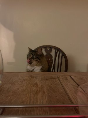 IMG_0290.jpeg IMG_0290.jpeg