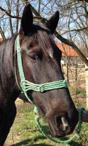 Screenshot_20231204-065803~2.png Screenshot_20231204-065803~2.png