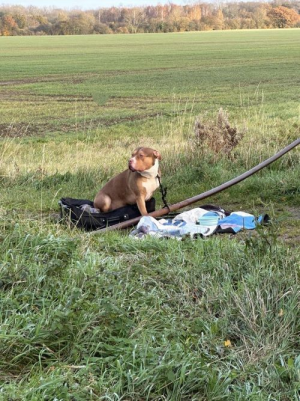 1701890415506.png 1701890415506.png