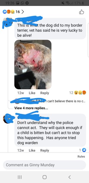 20231207_192811.jpg 20231207_192811.jpg