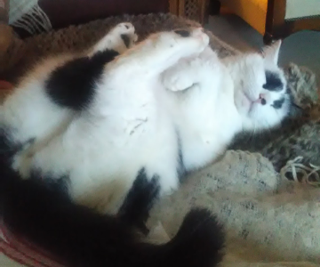 Screenshot_20231207-193916-307.png Screenshot_20231207-193916-307.png