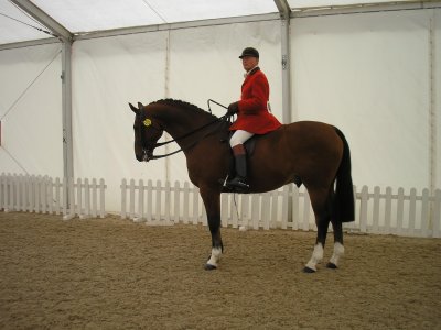 Leo at Horse of the Year 2009.jpg