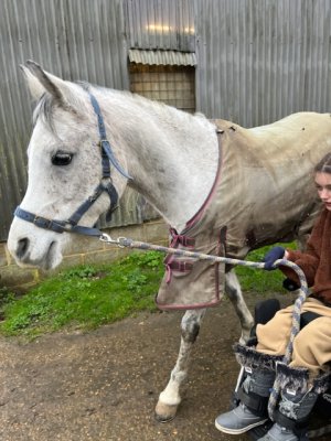 09A43E50-A4EB-4A26-944D-B1B7F36791CE.jpeg 09A43E50-A4EB-4A26-944D-B1B7F36791CE.jpeg