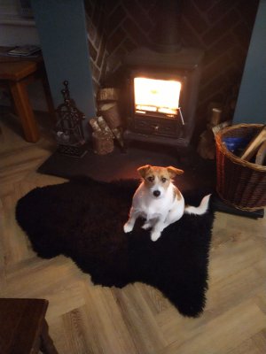 ruby fire small 2.jpg