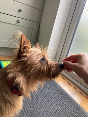 626022F0-67D3-4A96-88EB-01F528596B1F.jpeg 626022F0-67D3-4A96-88EB-01F528596B1F.jpeg