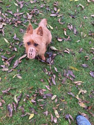 F668A0C6-753D-44C8-9E82-D6F71B014DC3.jpeg F668A0C6-753D-44C8-9E82-D6F71B014DC3.jpeg