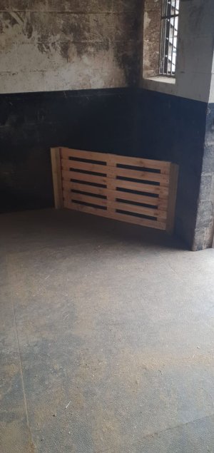 92669c70-9afb-44b4-8bdd-7ecf297175f2.jpeg 92669c70-9afb-44b4-8bdd-7ecf297175f2.jpeg