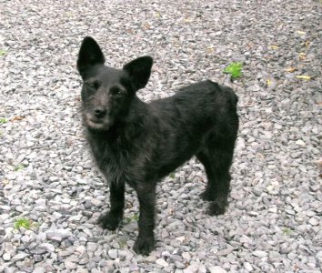 DSCN1877.jpg DSCN1877.jpg