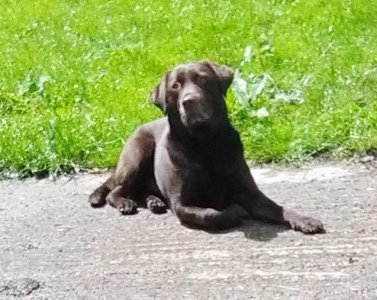 IMG_20160701_134137.jpg IMG_20160701_134137.jpg