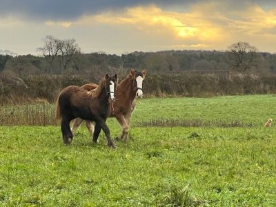 IMG_8030.jpeg IMG_8030.jpeg