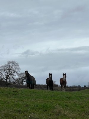 IMG_8214.jpeg IMG_8214.jpeg