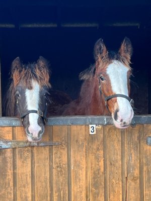 IMG_7955.jpeg IMG_7955.jpeg