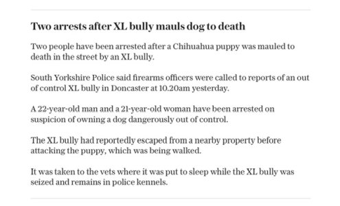 IMG_0257.jpeg IMG_0257.jpeg