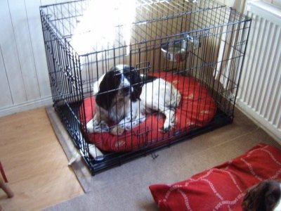 IMG_0108.jpeg IMG_0108.jpeg