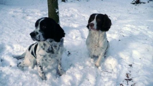 IMG_0110.jpeg IMG_0110.jpeg