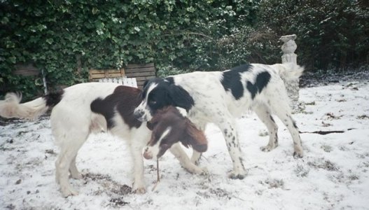 IMG_0289.jpeg IMG_0289.jpeg