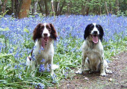 IMG_0292.jpeg IMG_0292.jpeg