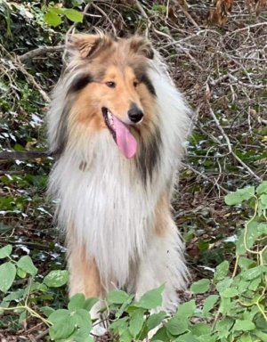 1000092833.jpg 1000092833.jpg