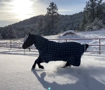 B856289E-963B-4768-98F8-1E6039B13806.jpeg B856289E-963B-4768-98F8-1E6039B13806.jpeg