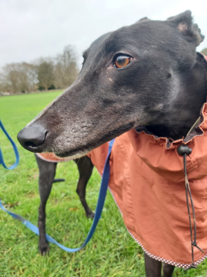 1703770708270.png 1703770708270.png