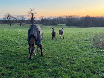 IMG_8496.jpg IMG_8496.jpg