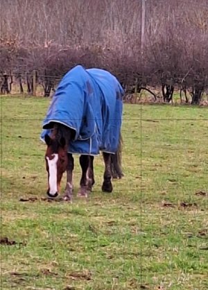 Screenshot_20231231_080401_Photo Editor.jpg