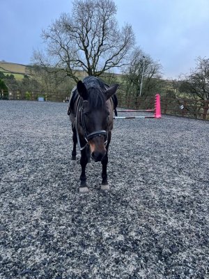 IMG_2960.jpg IMG_2960.jpg