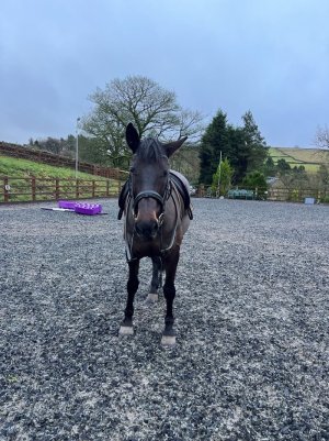 IMG_2965.jpg IMG_2965.jpg