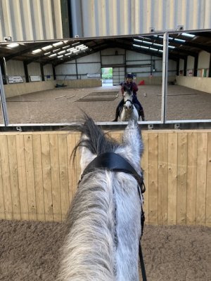 IMG_6155.jpeg IMG_6155.jpeg