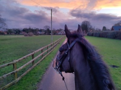 Screenshot_20231231_231154_Gallery.jpg Screenshot_20231231_231154_Gallery.jpg