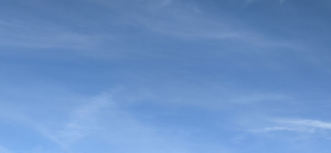 Screenshot 2024-01-04 1.24.25 PM.png