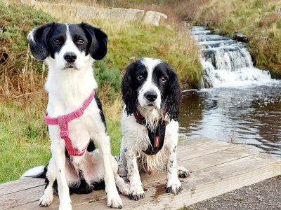 FB_IMG_1704485367356.jpg FB_IMG_1704485367356.jpg